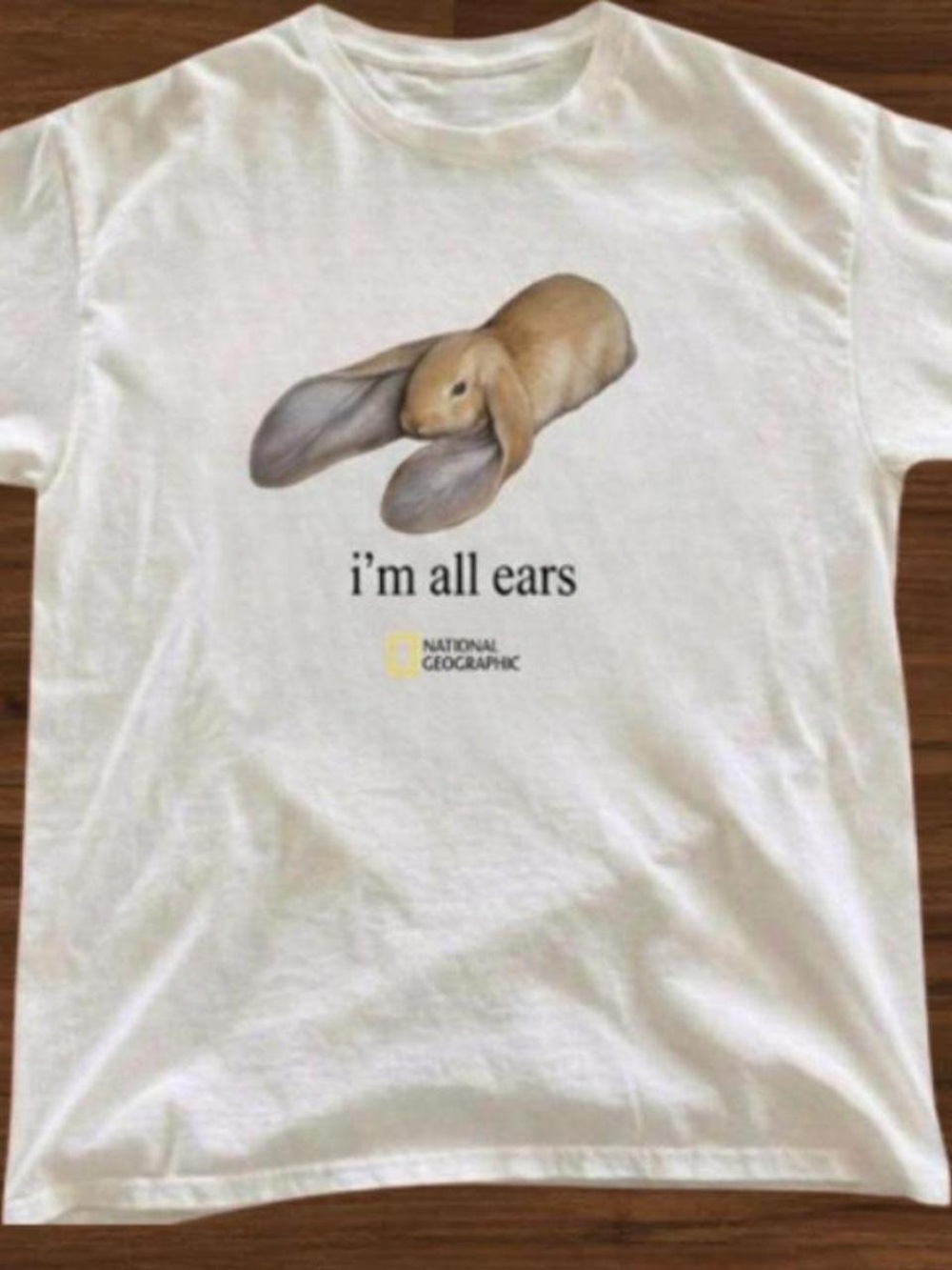 Lop Ear Rabbit Graphic T-Shirt National Geographic Style Short Sleeve Tee
